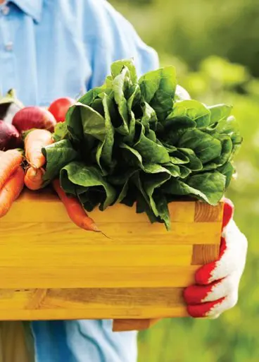 Image of person holding crate of fresh vegetables.